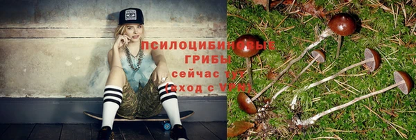 скорость Зеленодольск