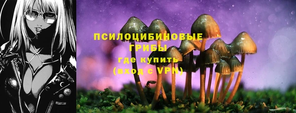 СК Заволжье