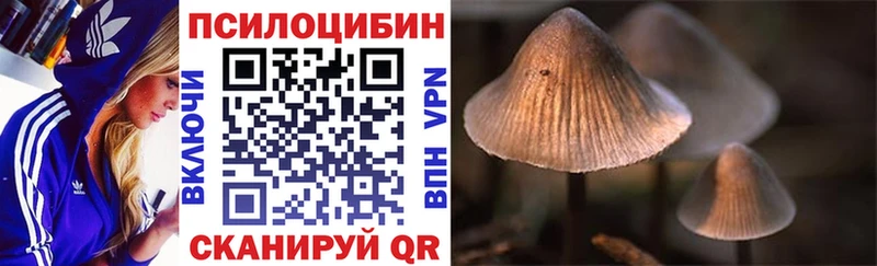 Псилоцибиновые грибы Magic Shrooms  Купить где  Усть-Илимск 
